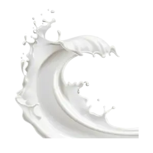 House Moja Milk perfume ingredient